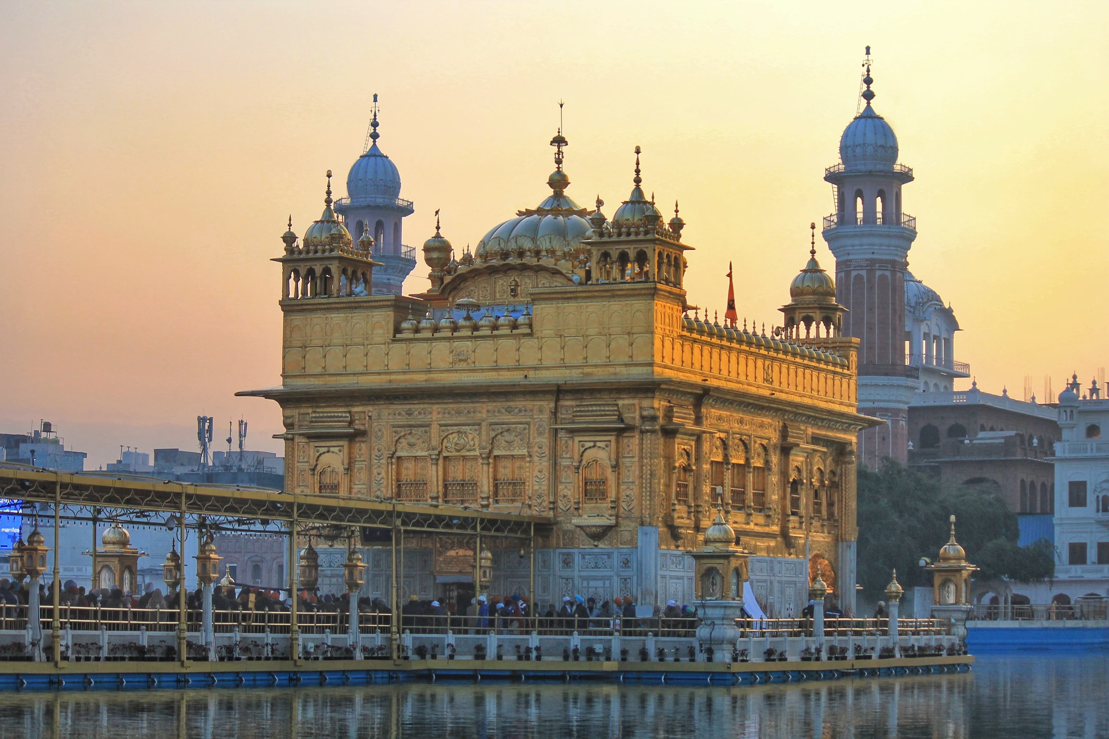 Collage Image 10